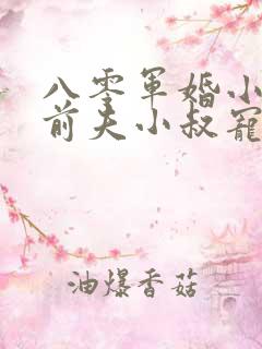 八零军婚小辣媳前夫小叔宠不停