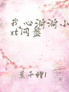 我心漪漪小说txt网盘