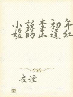 小说李初年童肖媛的正道红途