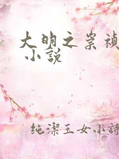 大明之崇祯大帝 小说