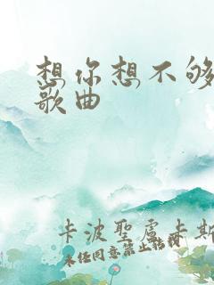 想你想不够原唱歌曲