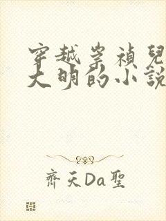 穿越崇祯儿子救大明的小说