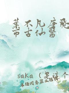 叶不凡唐飞雪都市古仙医