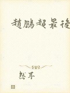 赵鹏超最后结局