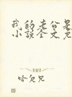 我的老公是大佬小说全文免费阅读