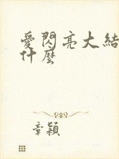 爱闪亮大结局是什么