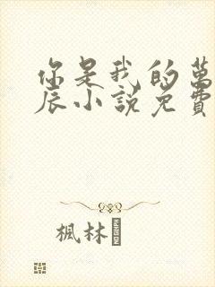 你是我的万千星辰小说免费阅读全文