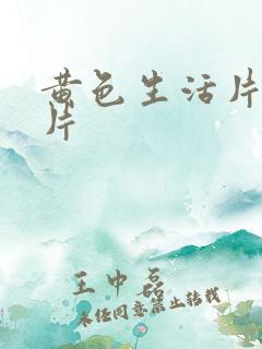 黄色生活片1级片