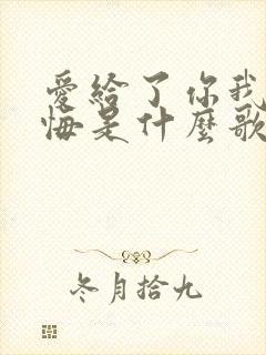 爱给了你我不后悔是什么歌