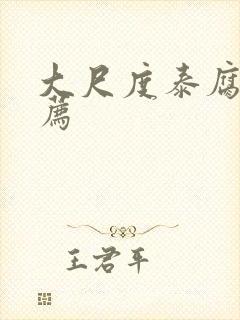 大尺度泰腐剧推荐