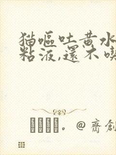 猫呕吐黄水泡沫粘液,还不吃东西怎么办