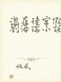 混在后宫假太监刘海瑞小说