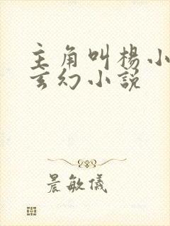 主角叫杨小天的玄幻小说