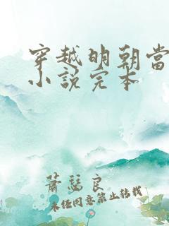 穿越明朝当皇帝小说完本