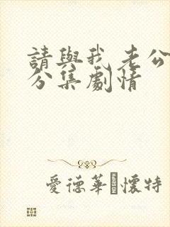 请与我老公结婚分集剧情