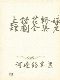 上错花轿嫁王爷短剧全集免费播放