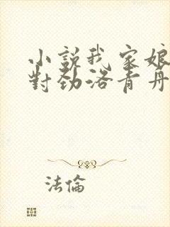 小说我家娘子不对劲洛青舟目录