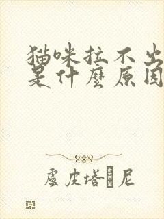 猫咪拉不出来尿是什么原因