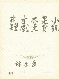 我才不是小可怜短剧免费观看全集