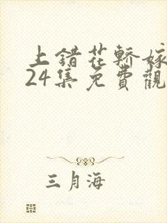 上错花轿嫁王爷24集免费观看