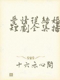 爱情从结婚开始短剧全集播放视频