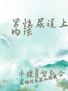 男性尿道上长小肉球