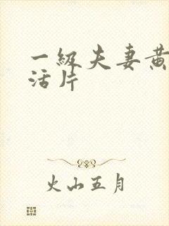 一级夫妻黄色生活片