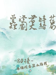 曾逢君时花照眼短剧大结局