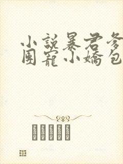 小说暴君爹爹的团宠小娇包最新章节