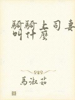 骑骑上司妻主角叫什么