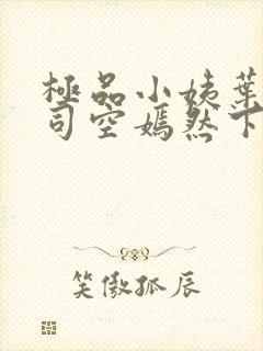 极品小姨叶凡和司空嫣然下载