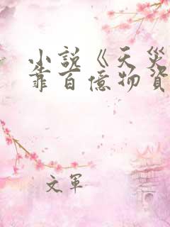 小说《天灾,我靠百亿物资成末世大佬》