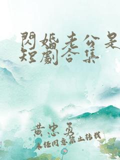 闪婚老公是豪门短剧合集