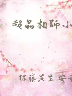 超品相师小说网