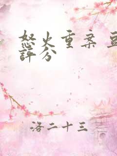 怒火重案 豆瓣评分