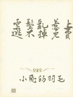 云鬓乱惹上权臣逃不掉免费阅读全部