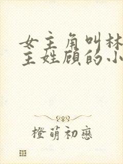 女主角叫林微男主姓顾的小说