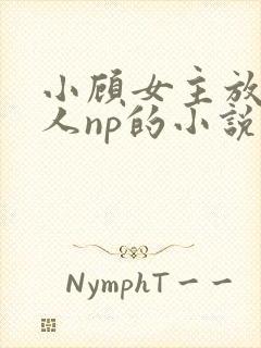 小顾女主放荡勾人np的小说