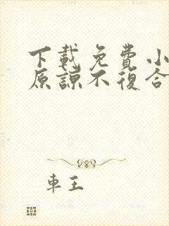 下载免费小说不原谅不复合苏小姐独美