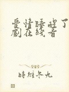 爱情睡醒了电视剧在线看