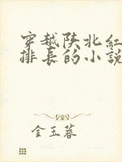 穿越陕北红军当排长的小说