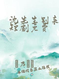 沈先生别来无恙短剧免费