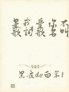 是我爱你不够多歌词歌名叫什么