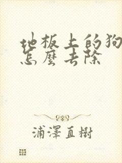 地板上的狗尿味怎么去除