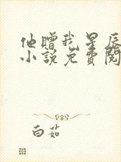 他赠我星辰满天小说免费阅读