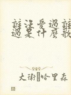 谁没爱过谁没伤过是什么歌