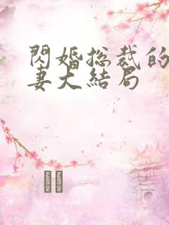 闪婚总裁的契约妻大结局