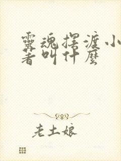 灵魂摆渡小说原著叫什么