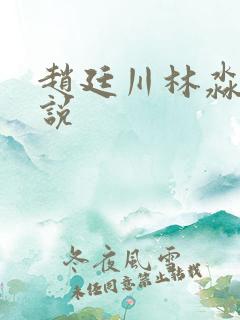 赵廷川林淼月小说