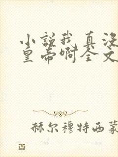 小说我真没想当皇帝啊全文阅读